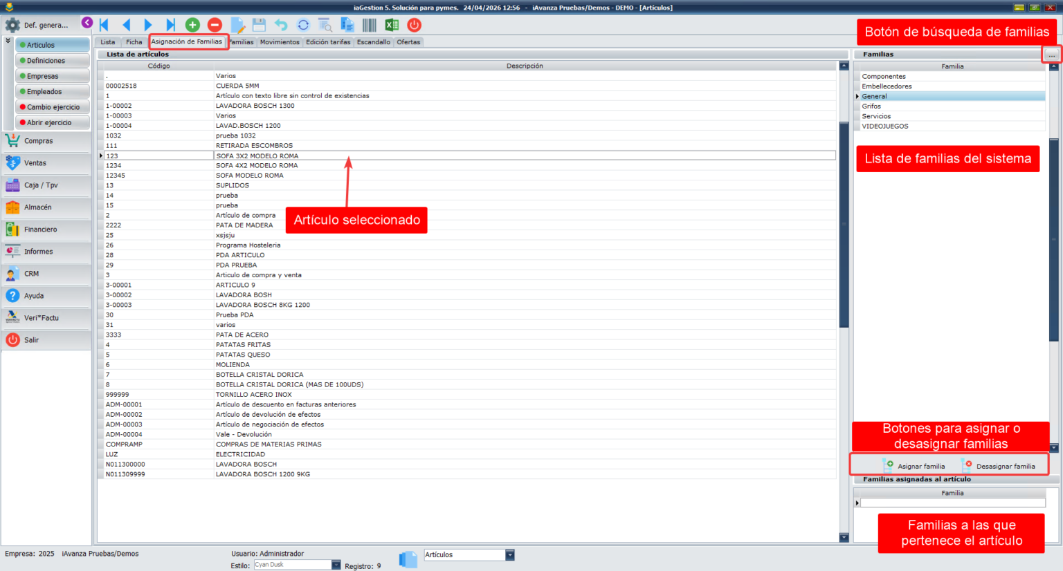 Asignación de familias a un artículo en el programa de gestión para pymes